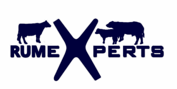 Rumexperts