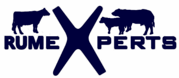 Rumexperts